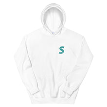 Load image into Gallery viewer, Smyth Background Unisex Hoodie
